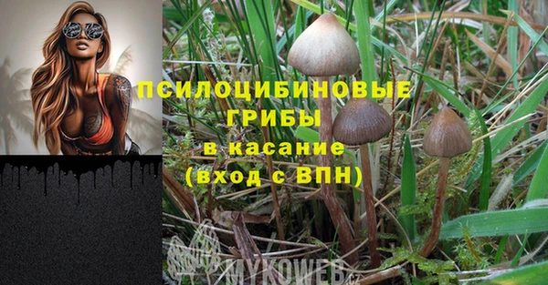 дживик Алексеевка