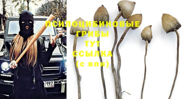 дживик Алексеевка