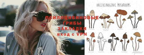 дживик Алексеевка