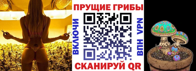 Галлюциногенные грибы Psilocybe  OMG маркетплейс  Кириши 