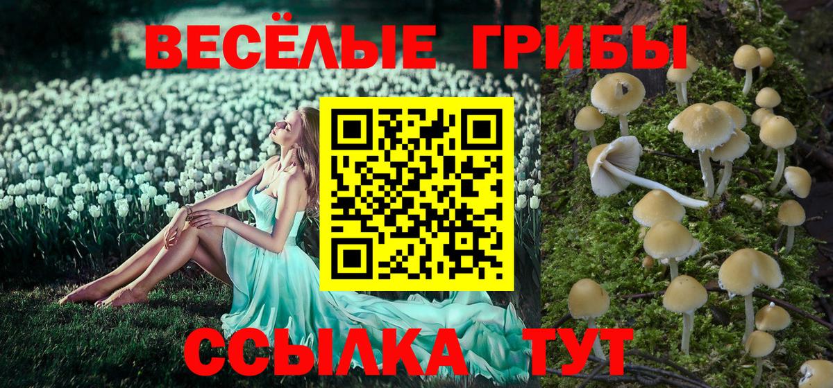 Псилоцибиновые грибы MAGIC MUSHROOMS Кириши