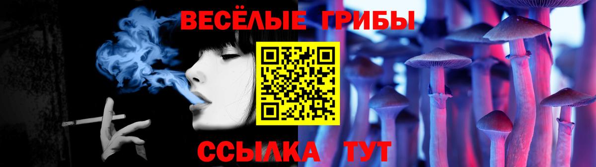 Псилоцибиновые грибы мицелий  Вход с VPN  Кириши  Псилоцибиновые грибы GOLDEN TEACHER 